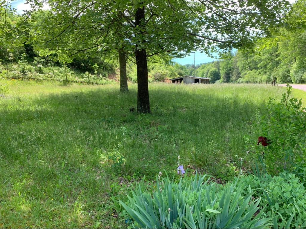 13337 Pine Branch Road Coeburn, VA 24230 - Photo 6 of 6 VIW FROM DRIVEWAY TOWARD BARN