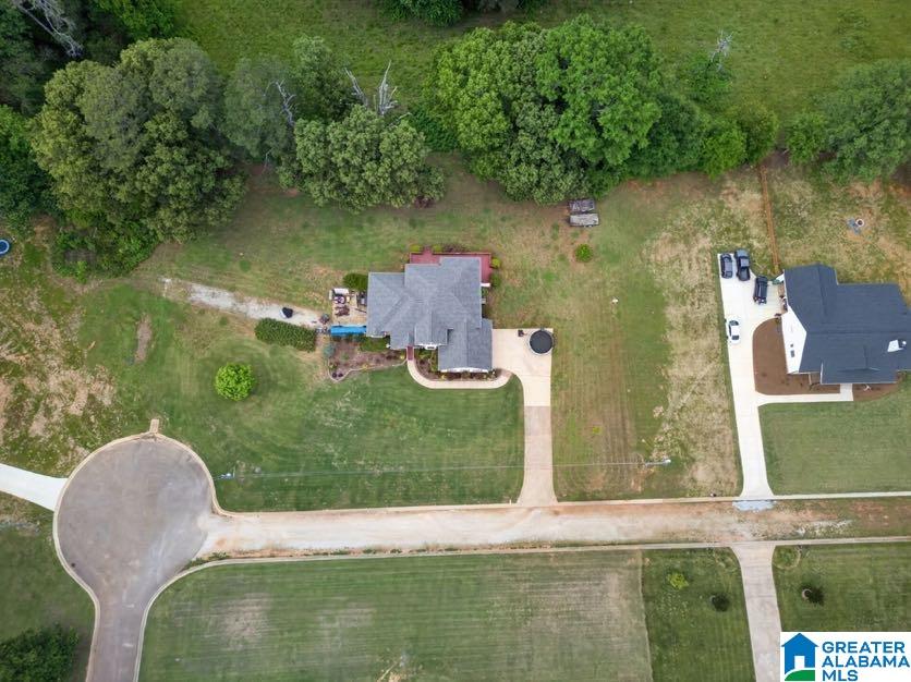 15 Fast Lane Ranburne, AL 36273 - Photo 15 of 51