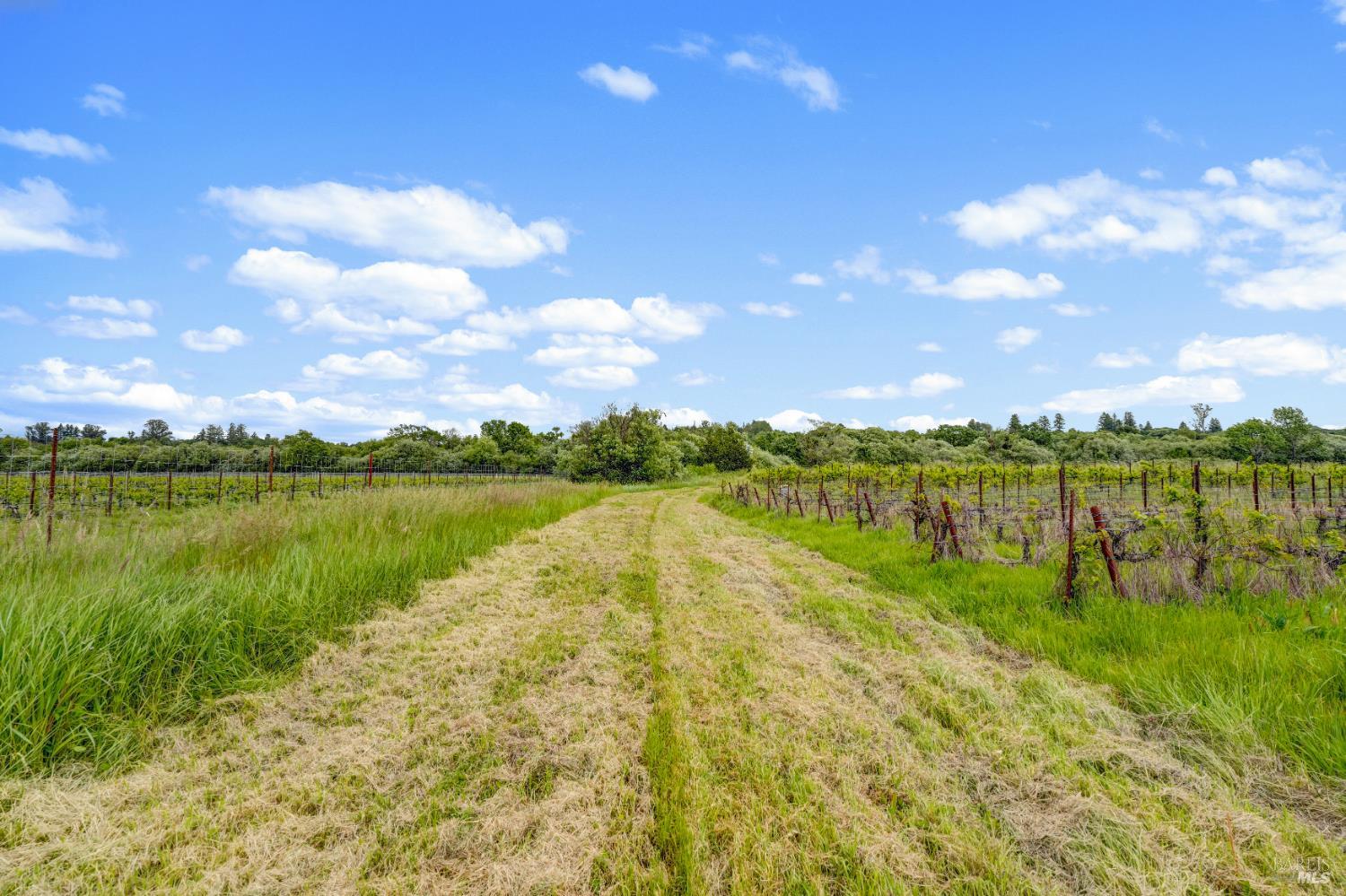 9700 Mill Station Road Sebastopol, CA 95472 - Photo 45 of 50