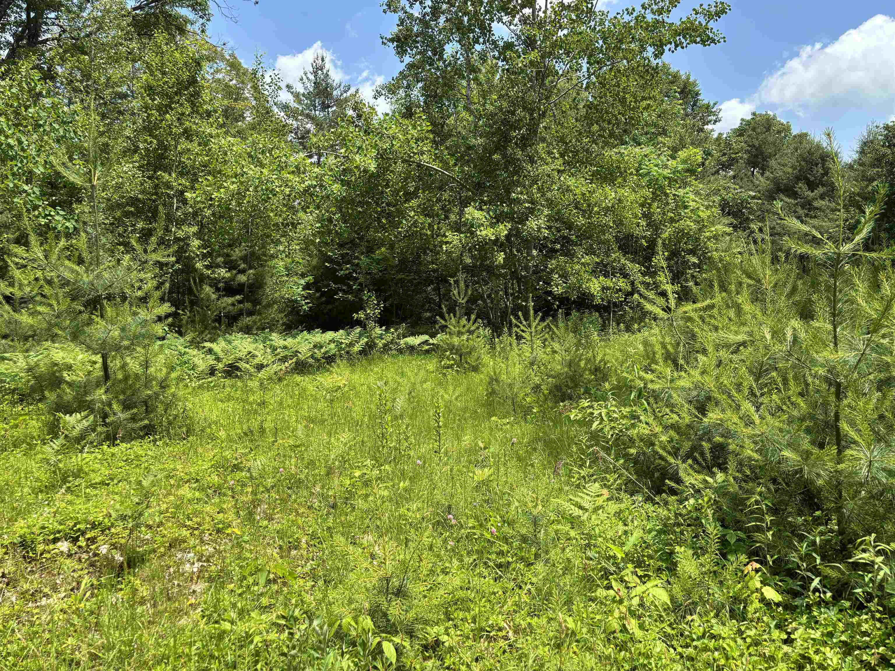 0 Simonsville Road, Unit LOT 3 Andover, VT 05143 - Photo 16 of 27