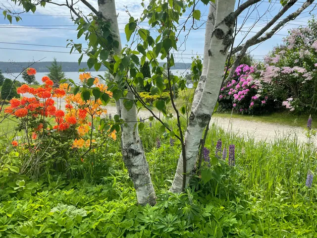 $1,225,000 | 515 Falls Bridge Road, Blue Hill, ME 04614