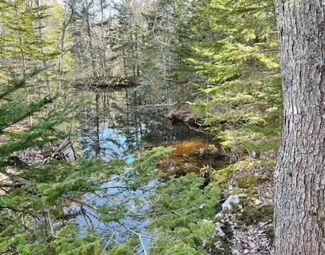 $1,225,000 | 515 Falls Bridge Road, Blue Hill, ME 04614