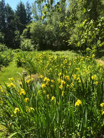 $1,225,000 | 515 Falls Bridge Road, Blue Hill, ME 04614