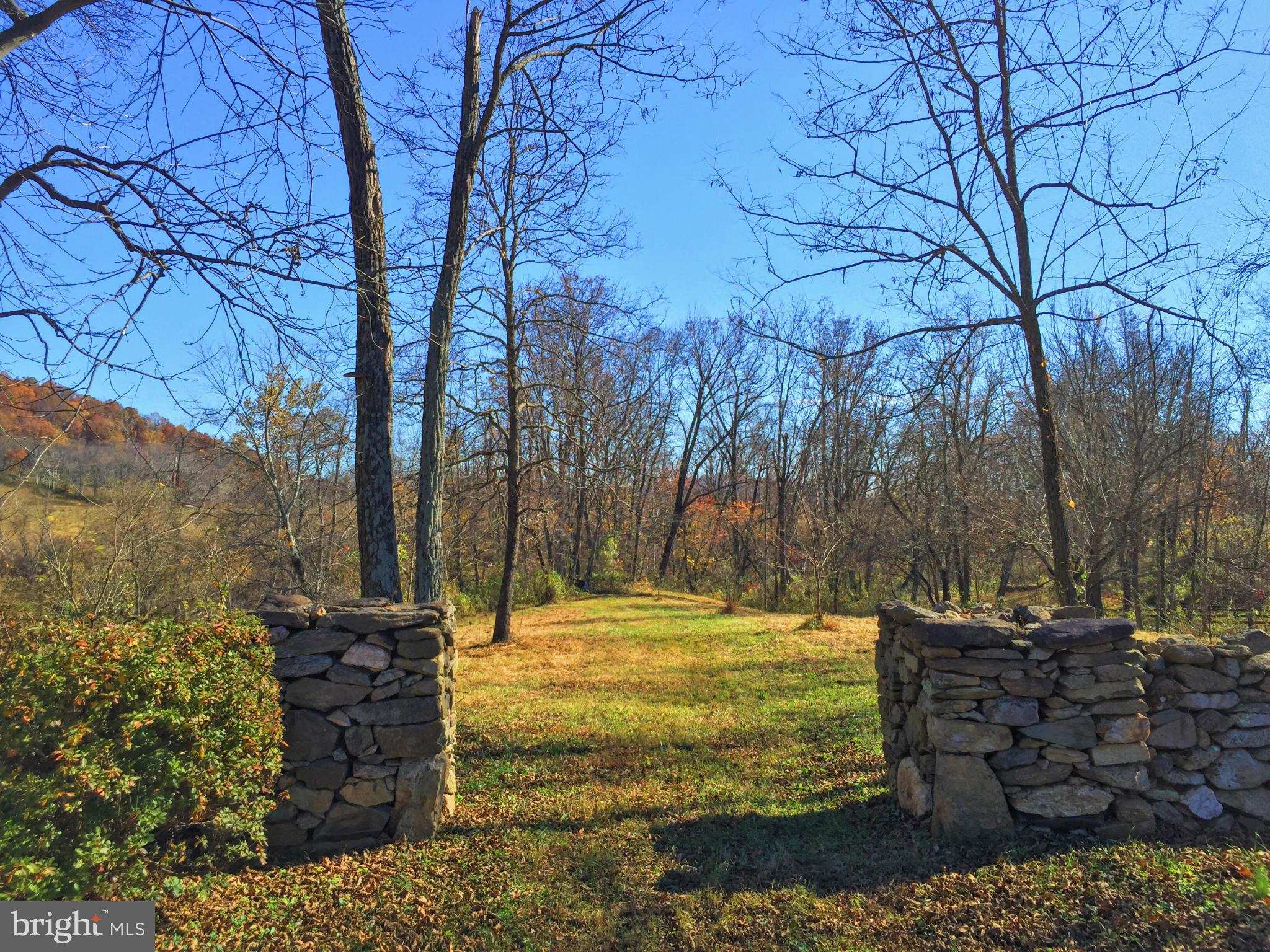 388 Fodderstack Road Washington, VA 22747 - Photo 3 of 21 Exterior (Rear)