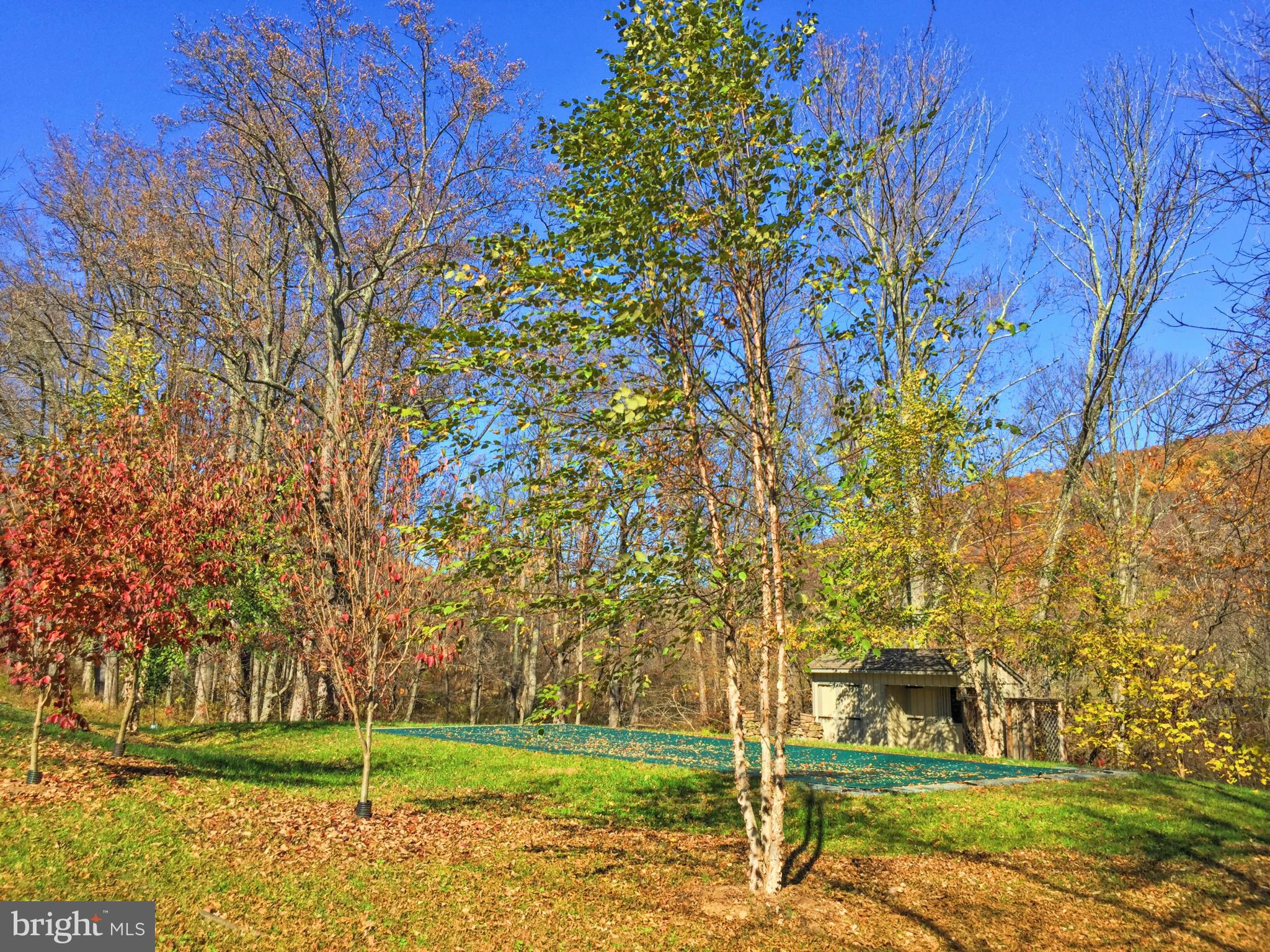 388 Fodderstack Road Washington, VA 22747 - Photo 4 of 21 Exterior (General)