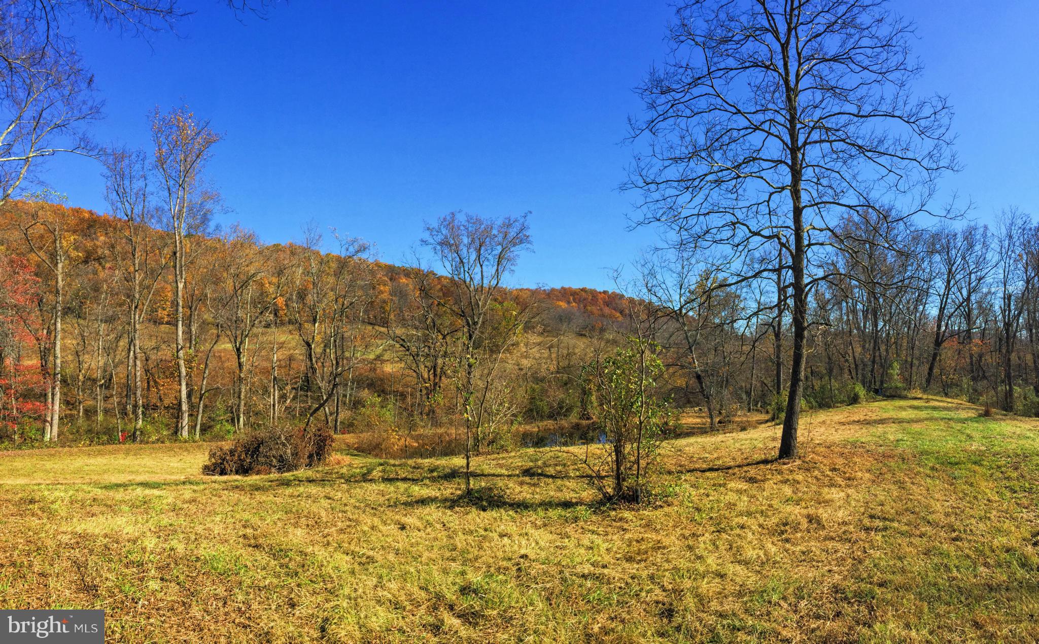 388 Fodderstack Road Washington, VA 22747 - Photo 6 of 21 Exterior (General)