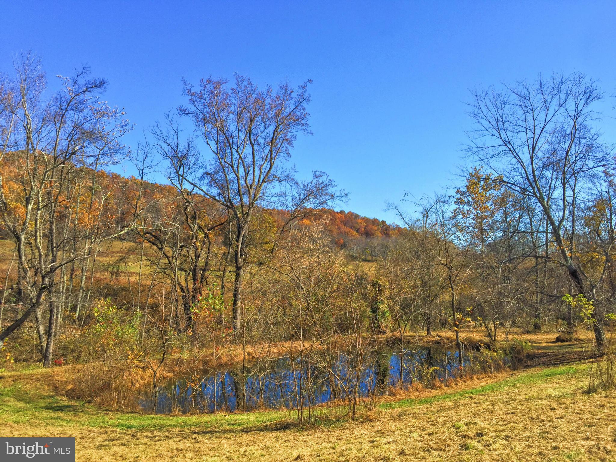 388 Fodderstack Road Washington, VA 22747 - Photo 7 of 21 Exterior (General)