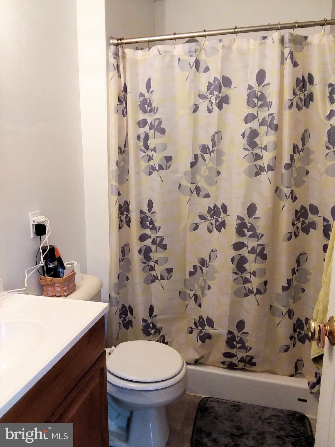 1730 Mt Zion Road Swanton, MD 21561 - Photo 13 of 20 Bath