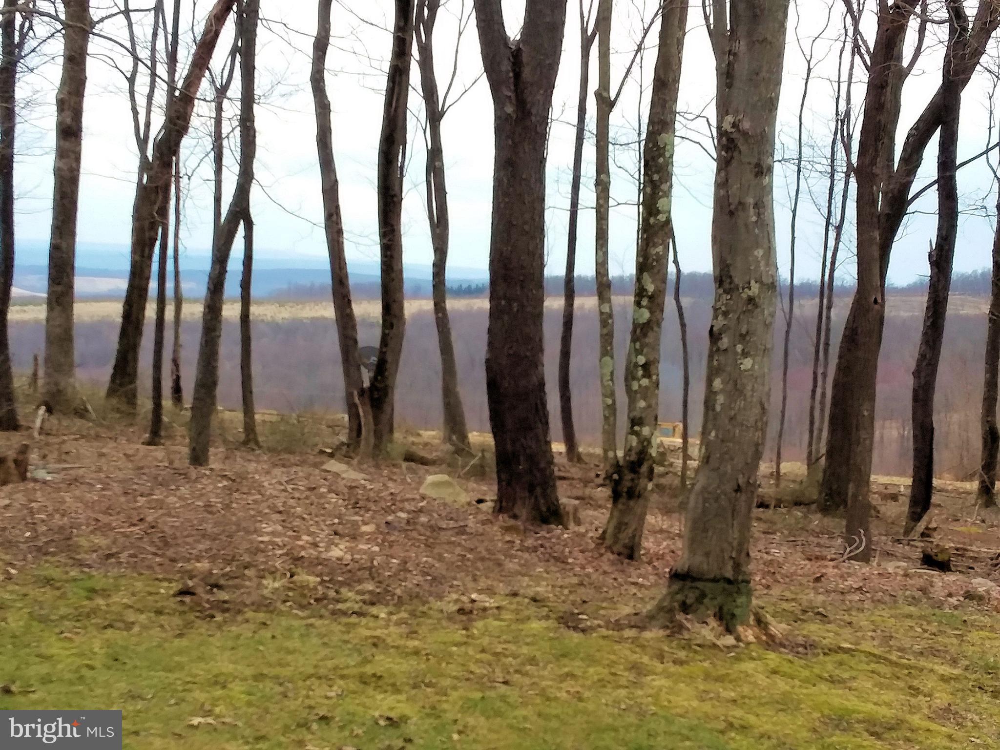 1730 Mt Zion Road Swanton, MD 21561 - Photo 17 of 20 View