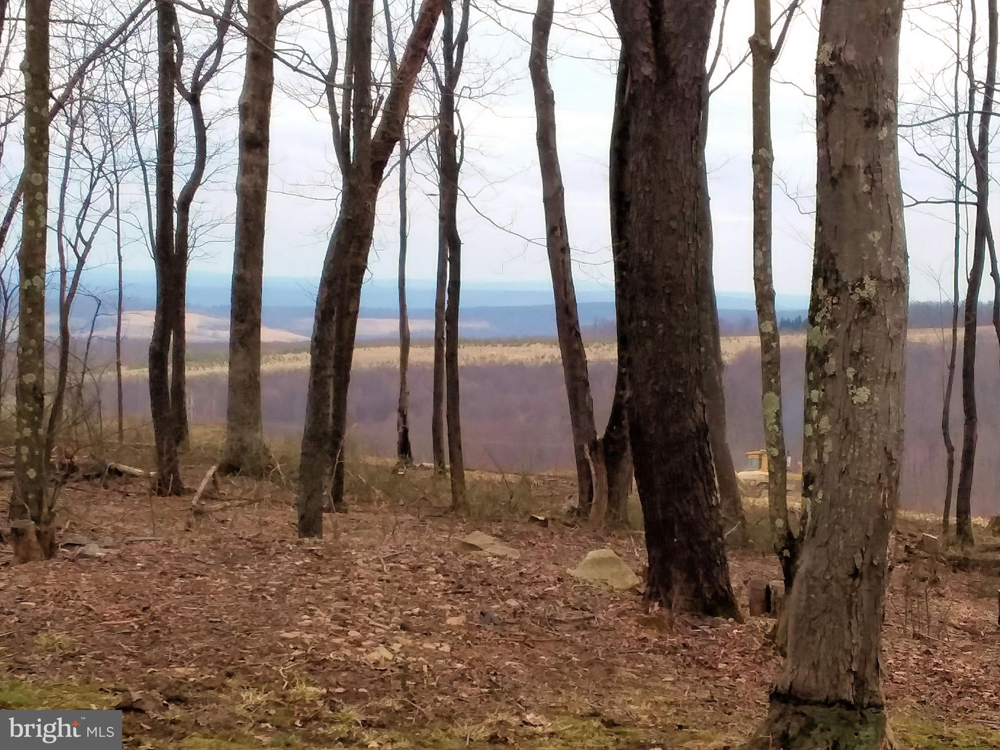 1730 Mt Zion Road Swanton, MD 21561 - Photo 20 of 20 View
