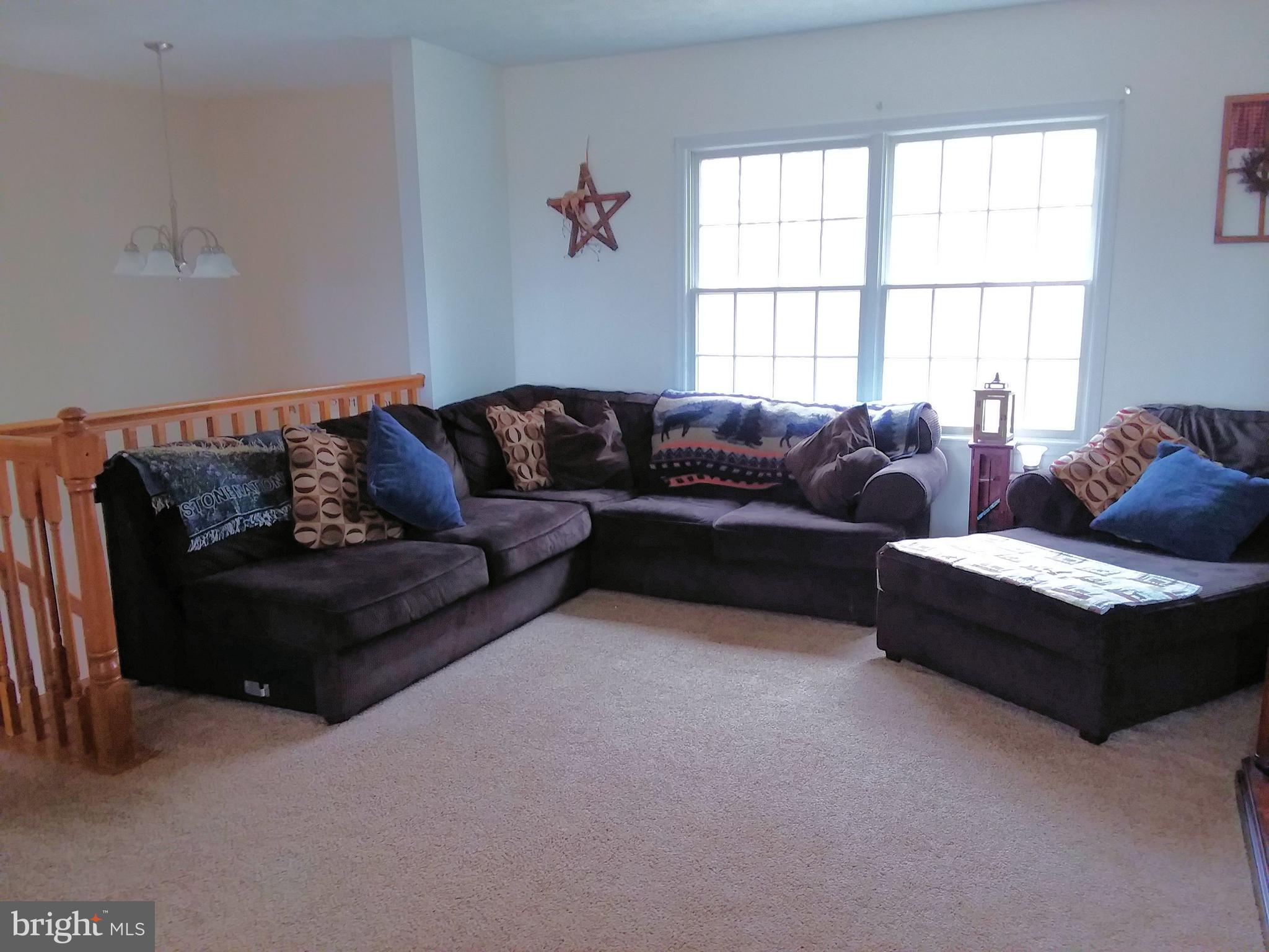 1730 Mt Zion Road Swanton, MD 21561 - Photo 3 of 20 Living Room