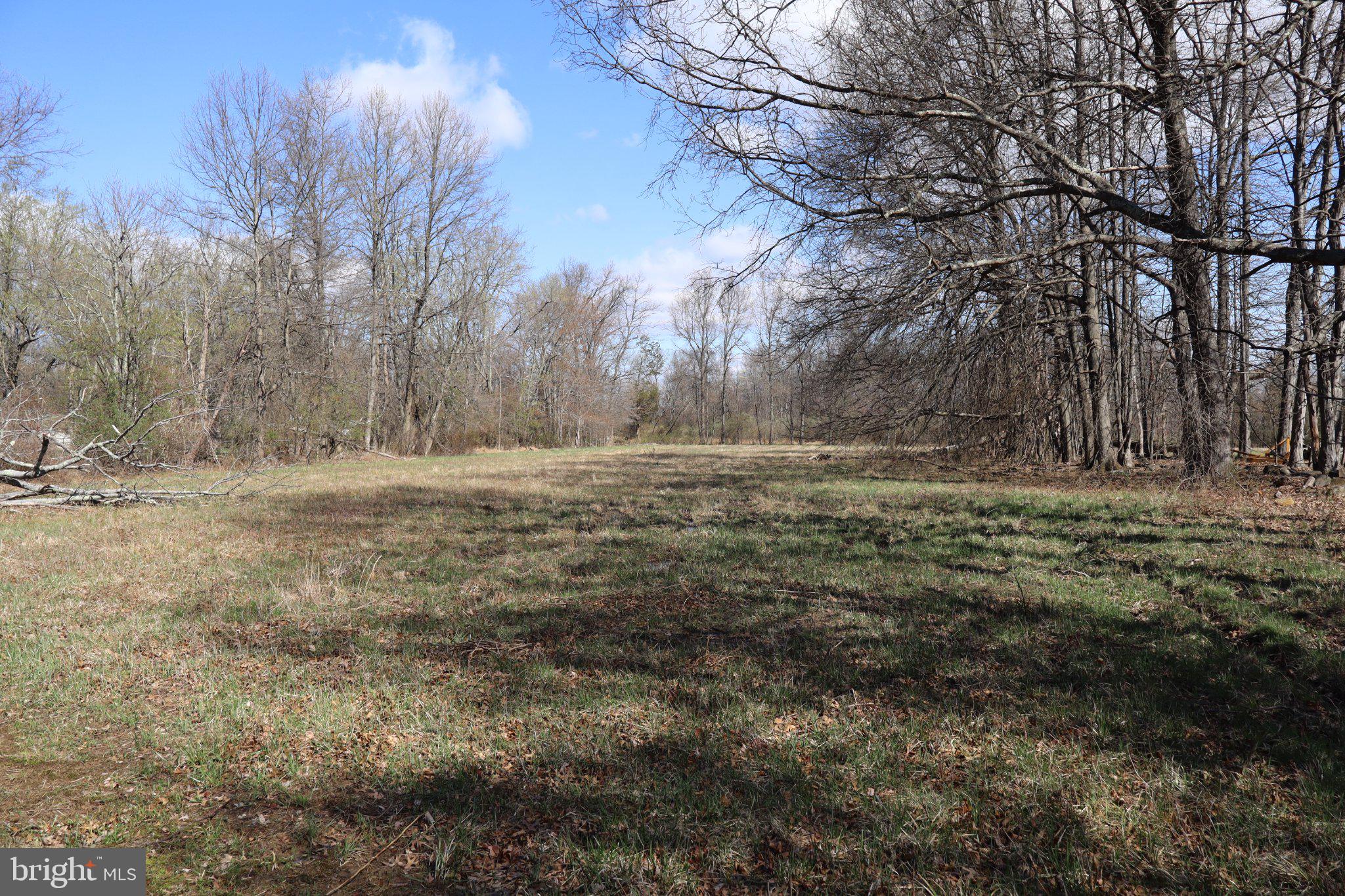 a view of dirt field with large trees