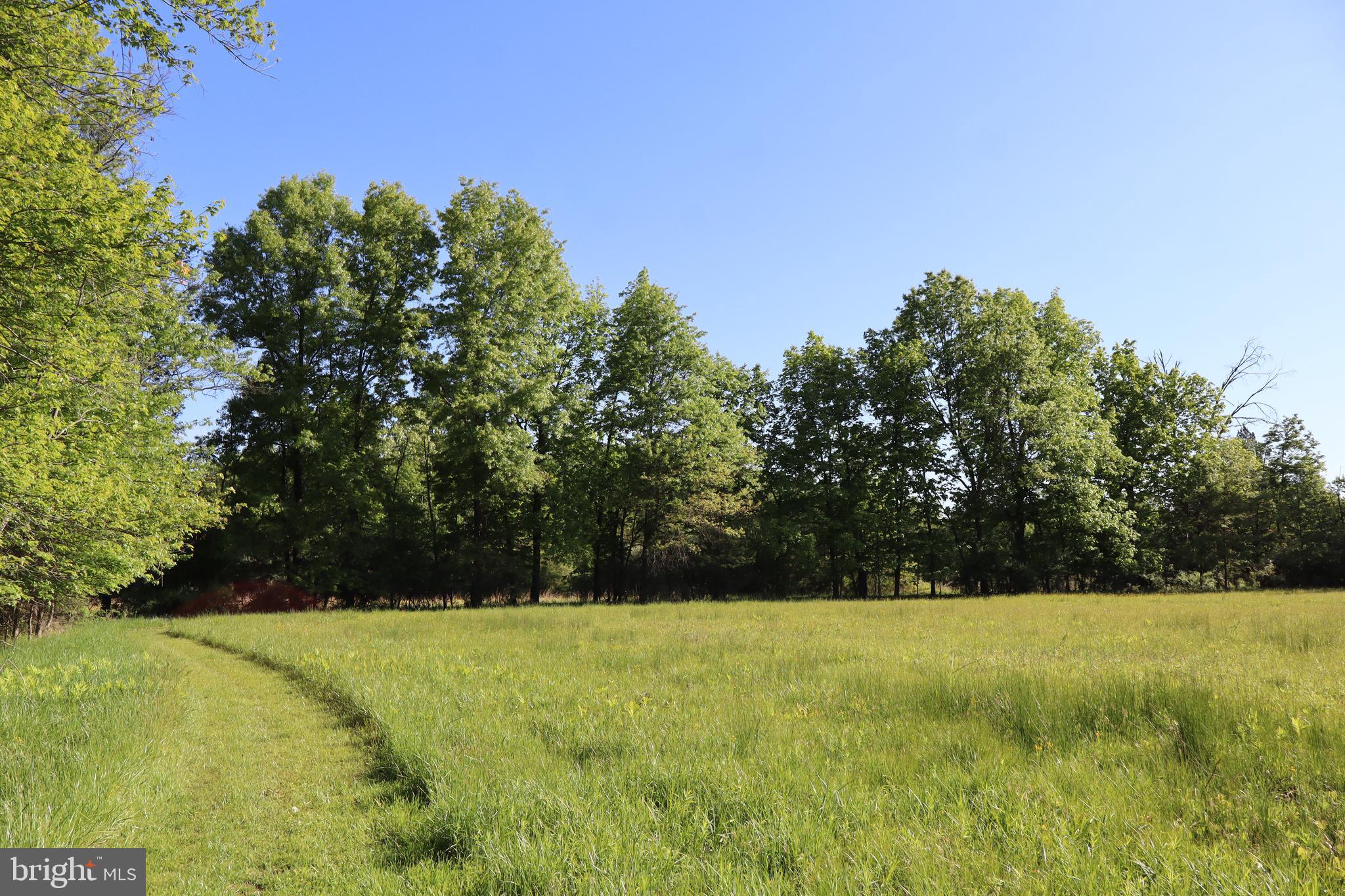 1583 Chestnut Ridge Road Upper Black Eddy, PA 18972 - Photo 2 of 8 a view of garden with trees in the background