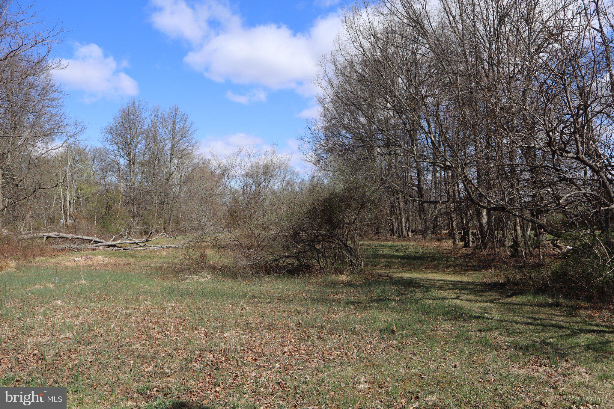 1583 Chestnut Ridge Road Upper Black Eddy, PA 18972 - Photo 2 of 4 a view of a yard with a tree