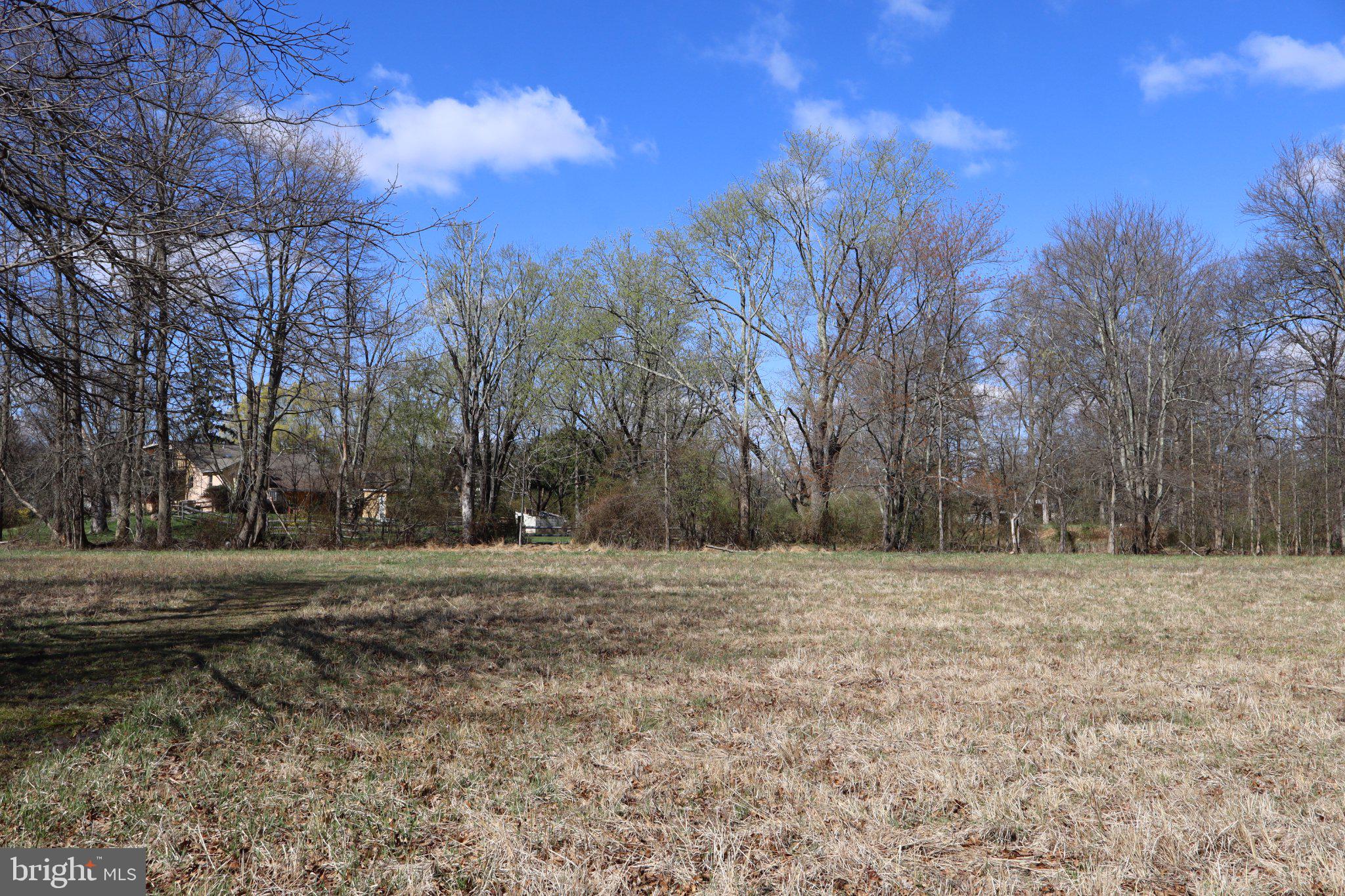 1583 Chestnut Ridge Road Upper Black Eddy, PA 18972 - Photo 3 of 4 a view of dirt yard with large trees