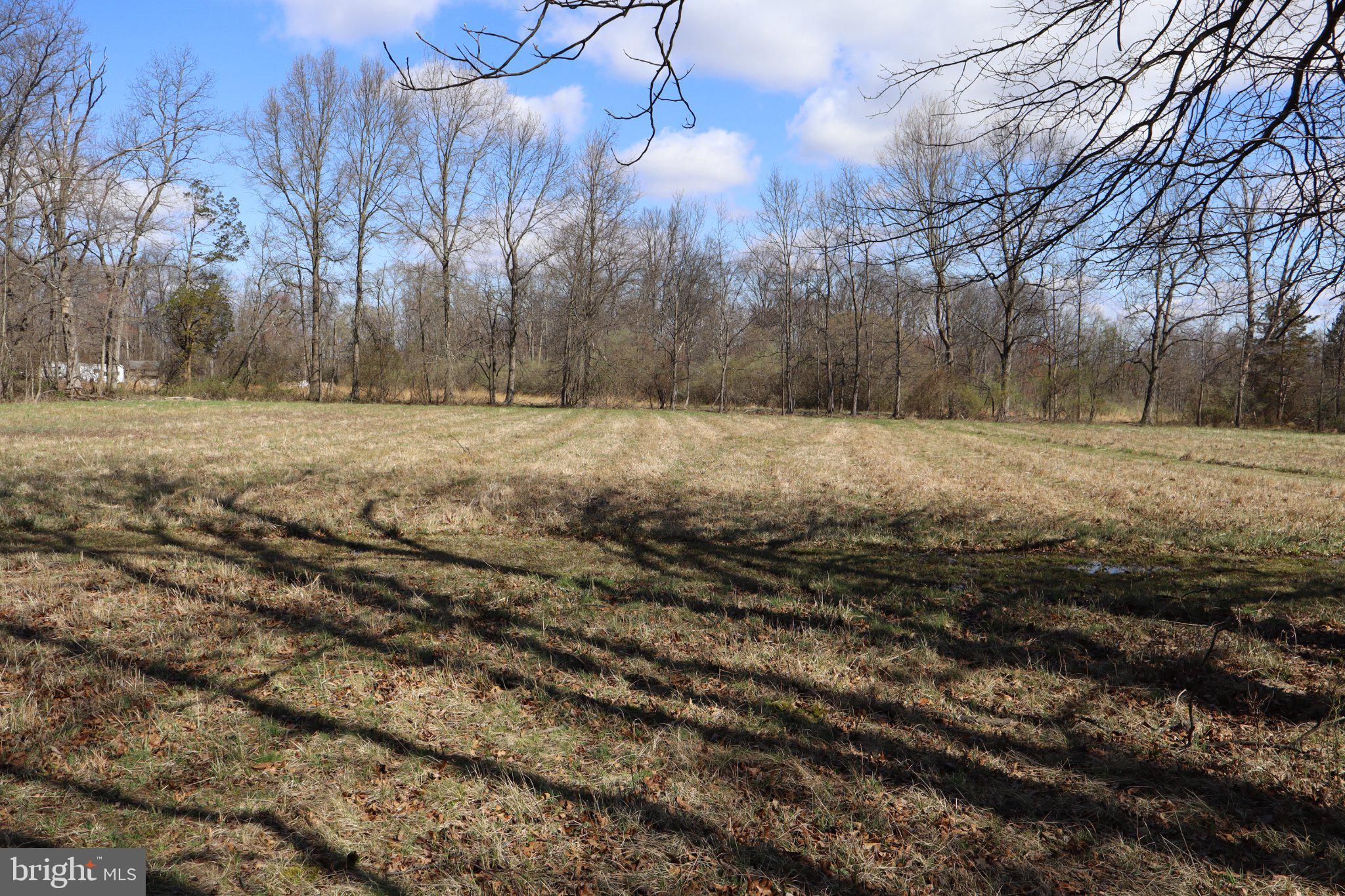 1583 Chestnut Ridge Road Upper Black Eddy, PA 18972 - Photo 4 of 4 a view of dirt yard with a tree