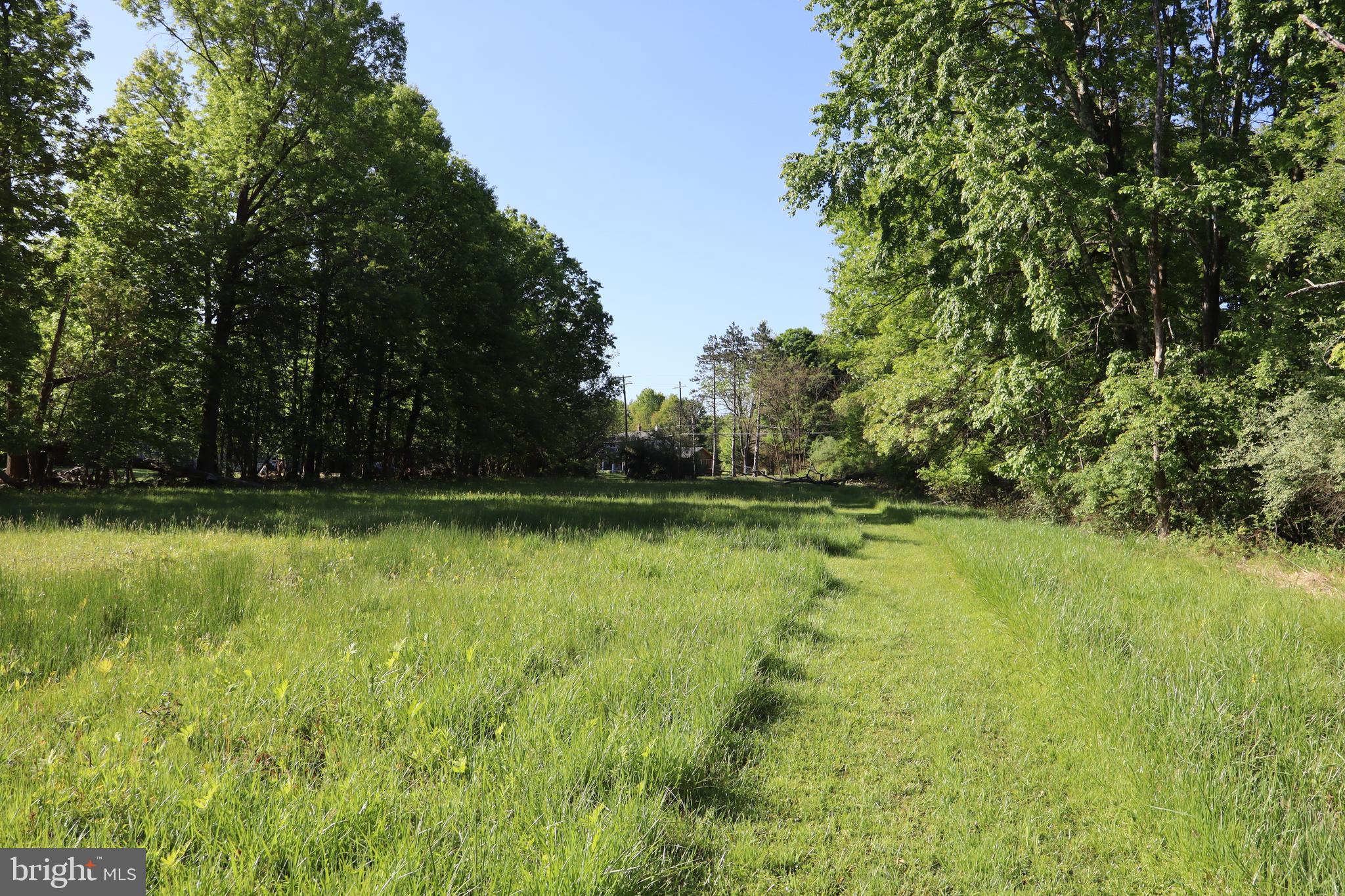 1583 Chestnut Ridge Road Upper Black Eddy, PA 18972 - Photo 4 of 8 a view of yard with green space