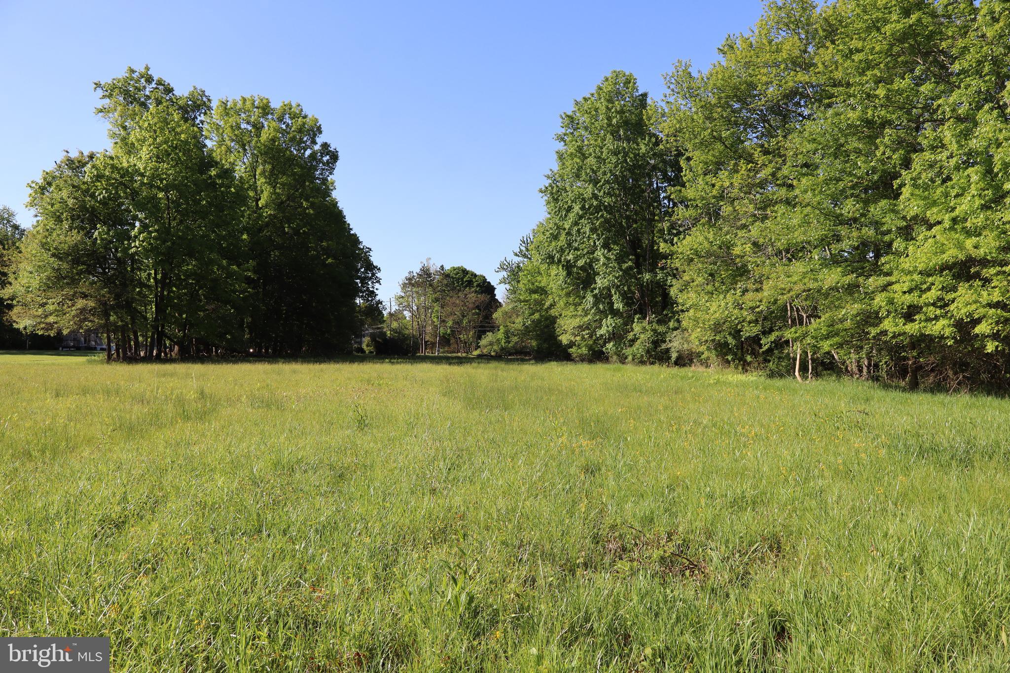1583 Chestnut Ridge Road Upper Black Eddy, PA 18972 - Photo 5 of 8 a view of yard and trees