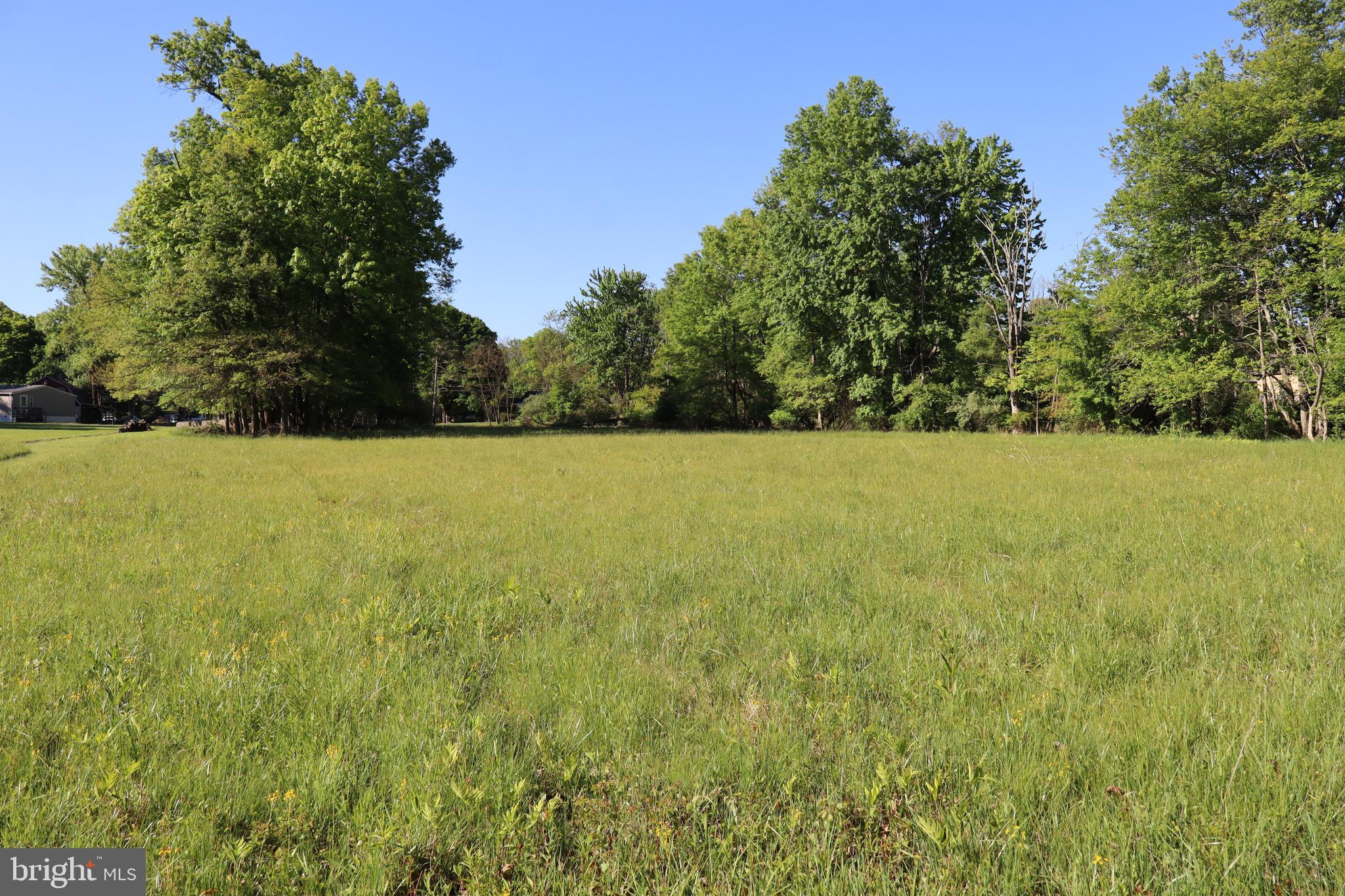 1583 Chestnut Ridge Road Upper Black Eddy, PA 18972 - Photo 6 of 8 a view of yard with trees in the background