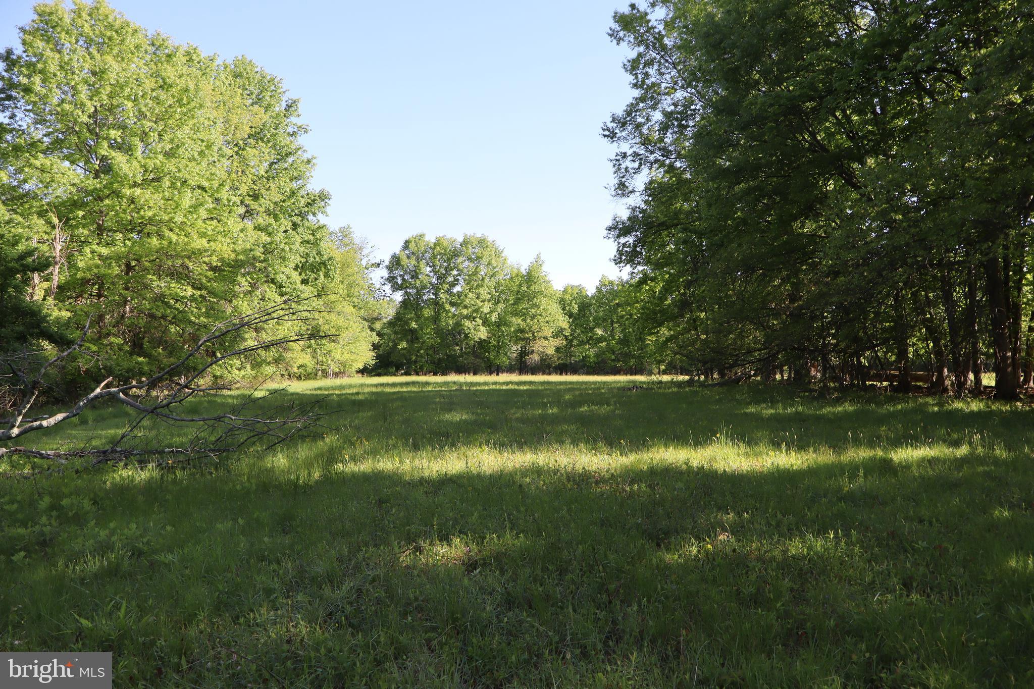 1583 Chestnut Ridge Road Upper Black Eddy, PA 18972 - Photo 7 of 8 a view of a lake