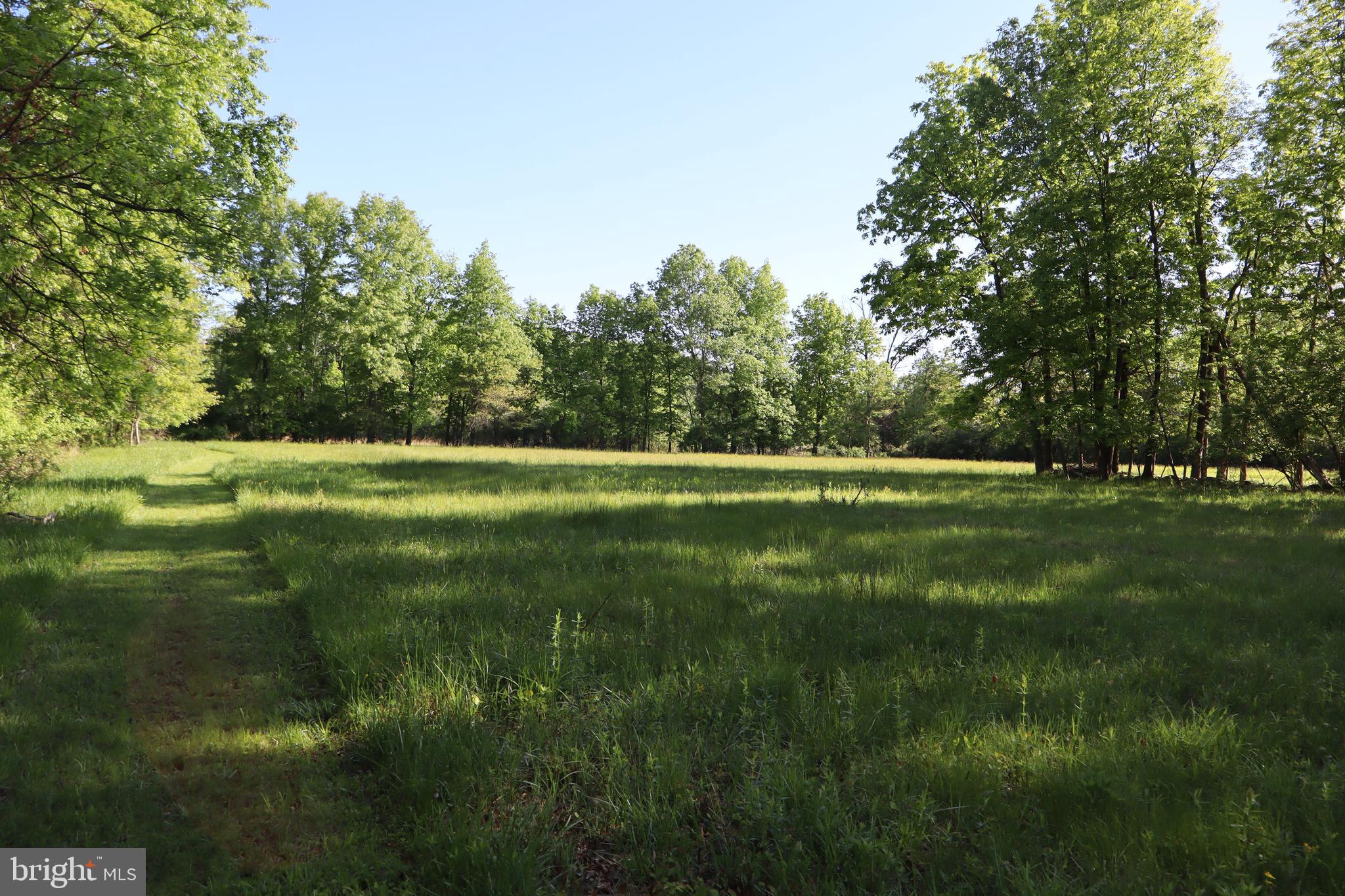 1583 Chestnut Ridge Road Upper Black Eddy, PA 18972 - Photo 8 of 8 a view of outdoor space with green field and trees all around