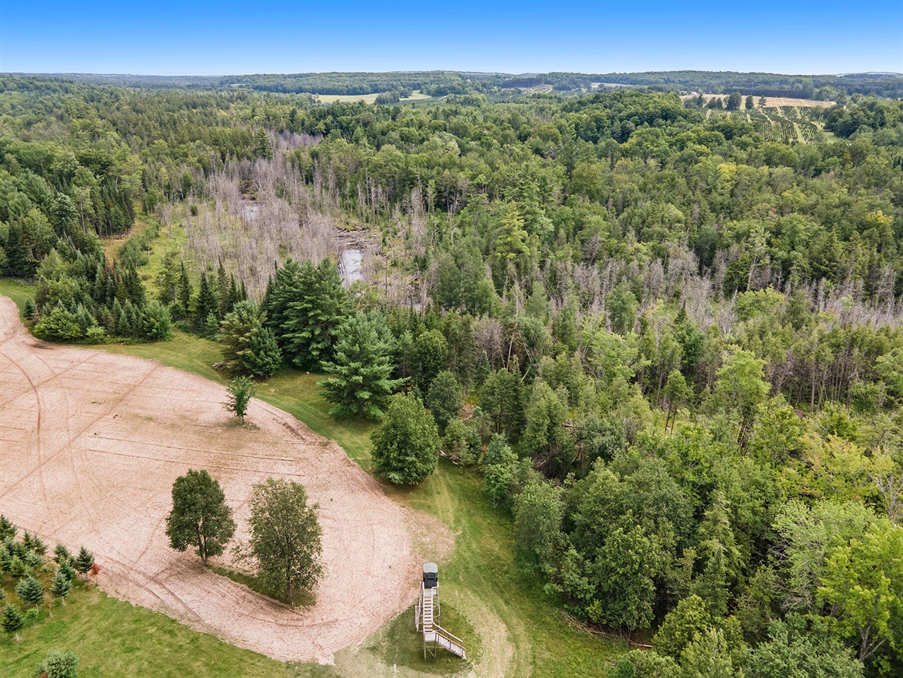 7431 North Dickerson Road Manton, MI 49663 - Photo 49 of 61 Gallery Image 49