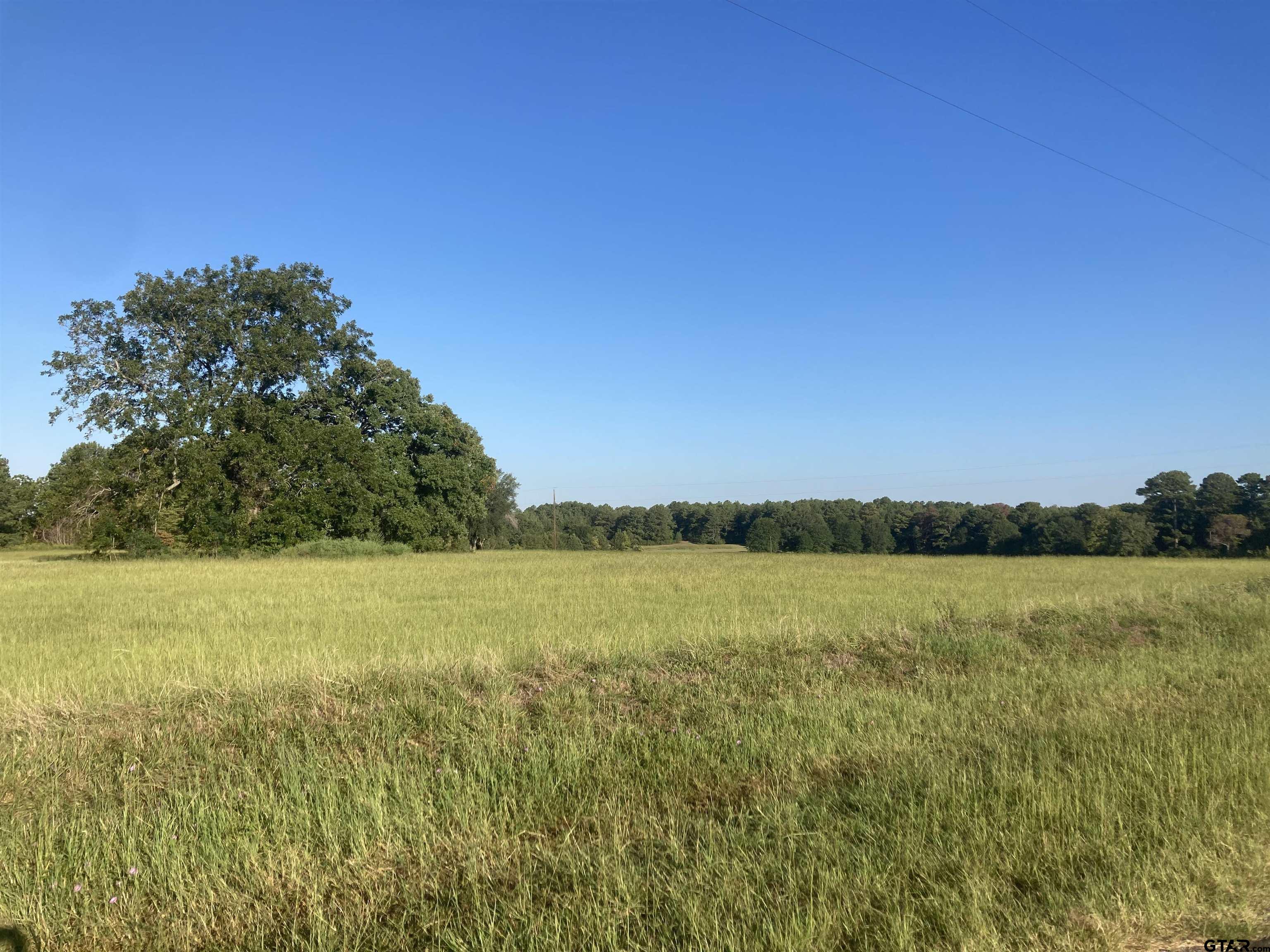 Lot 13 Cr 1100 Tyler Tx