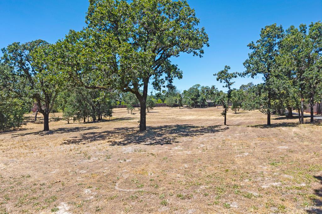 1769 Olivet Road Santa Rosa, CA 95401 - Photo 8 of 43