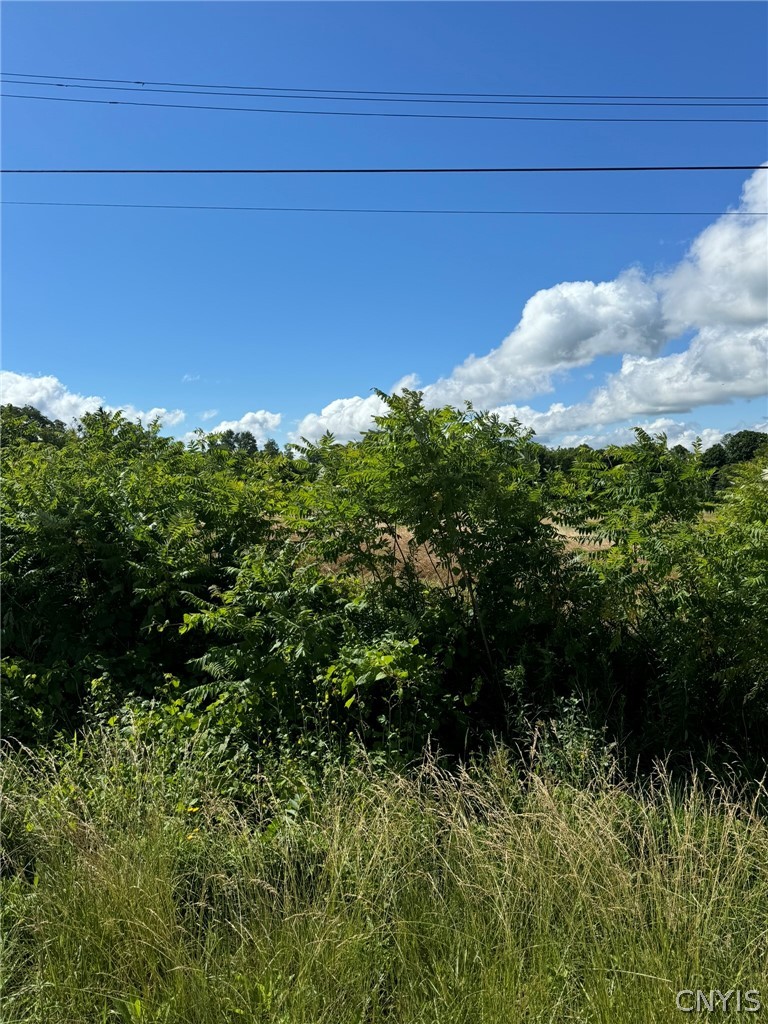 0 Cortland Road Groton, NY 13073 - Photo 1 of 1