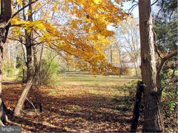 435 Erial Road Sicklerville, NJ 08081 - Photo 3 of 4 Side Yard