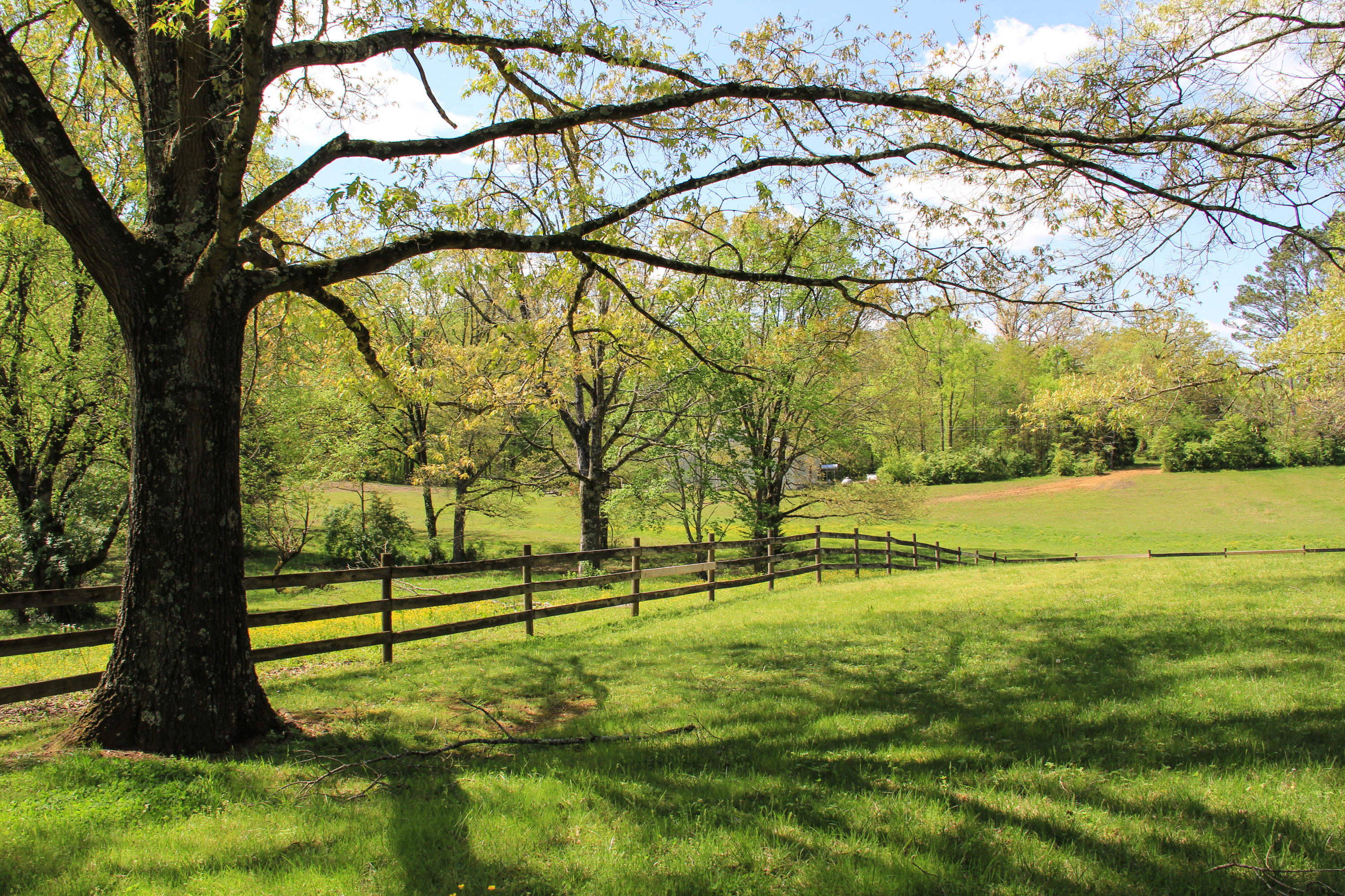 138 Milligan Road Maryville, TN 37803 - Photo 7 of 40 IMG_2178