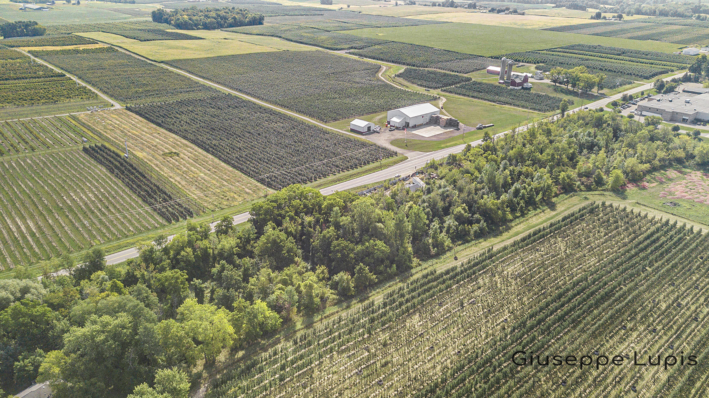 8251 Fruit Ridge Avenue Northwest Sparta, MI 49345 - Photo 4 of 12 Aerial