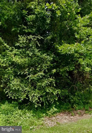 $69,900 | Lot 15 Oxford Lane, King William, VA 23086