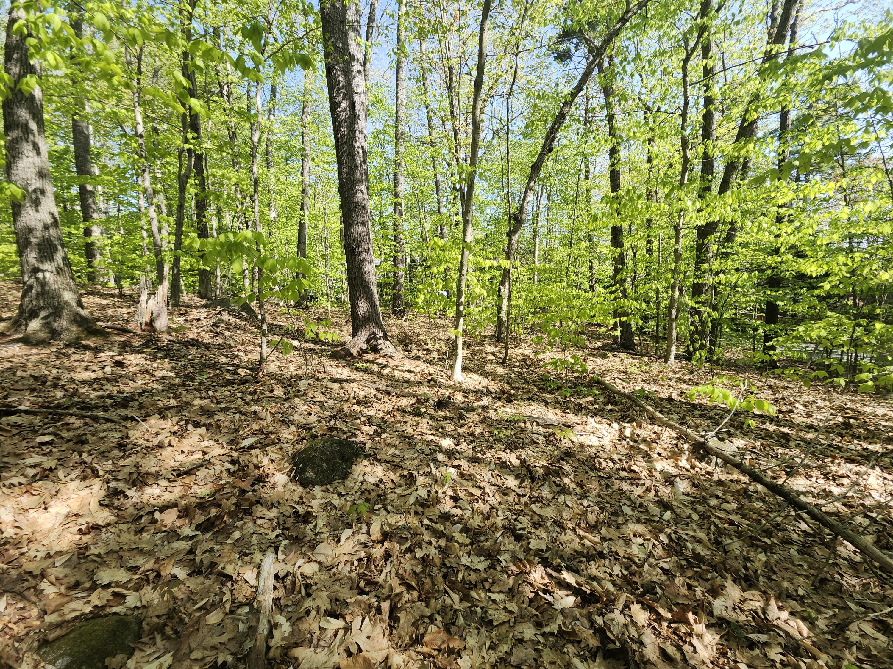 Lot #006 Trickey Pond Road Naples, ME 04055 - Photo 8 of 30 20250514_090841