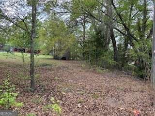 0 Spring Street Warm Springs, GA 31830 - Photo 10 of 10 a view of a yard with a tree
