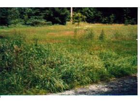 157 Bisson Road Barre, VT 05641 - Photo 4 of 7