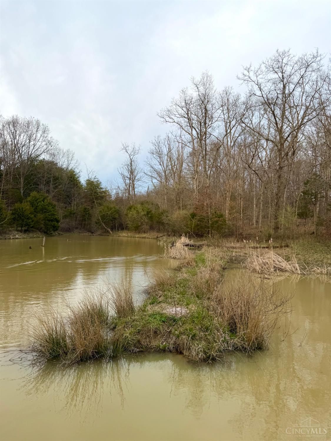 1600 Magee Jones Road Peebles, OH 45660 - Photo 86 of 91