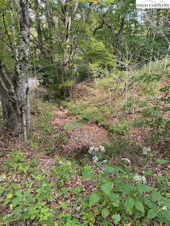 $147,500 | 1 Creek Crossing Drive, Todd, NC 28684