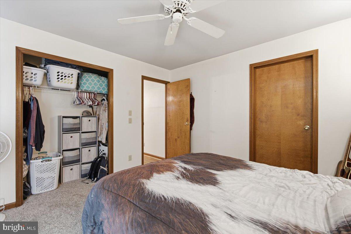 113 Chambers Street Preston, MD 21655 - Photo 14 of 25 13-Primary Bedroom