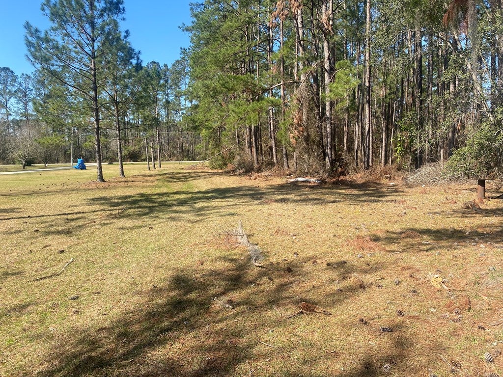 5716 Skipper Bridge Road Hahira, GA 31632 - Photo 6 of 29 Gallery Image 6