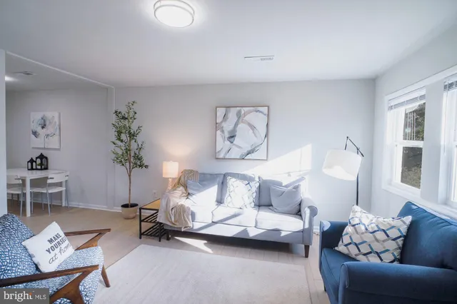 a living room with furniture and a potted plant