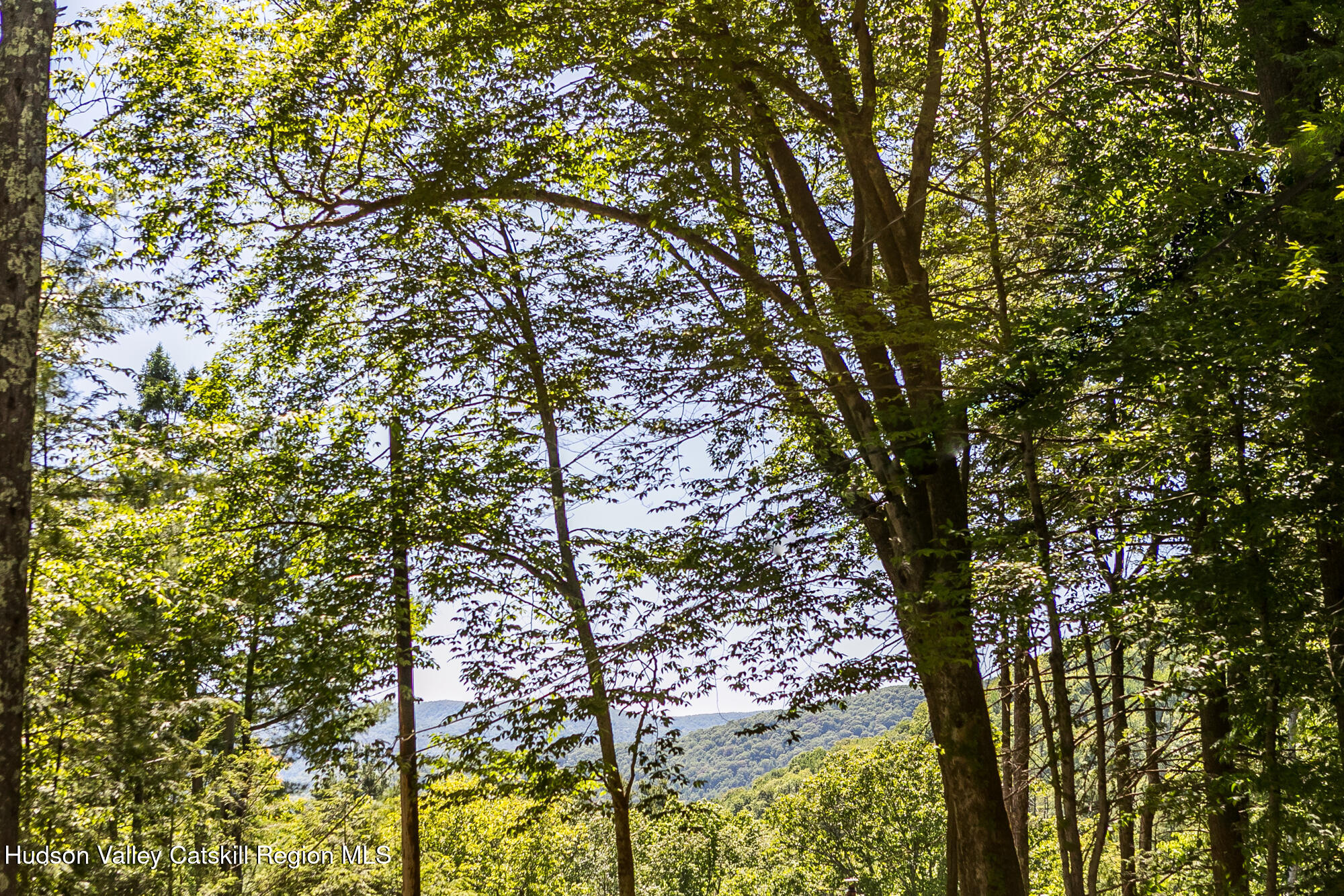 41 Adler Road Chichester, NY 12416 - Photo 43 of 45 Adler-6