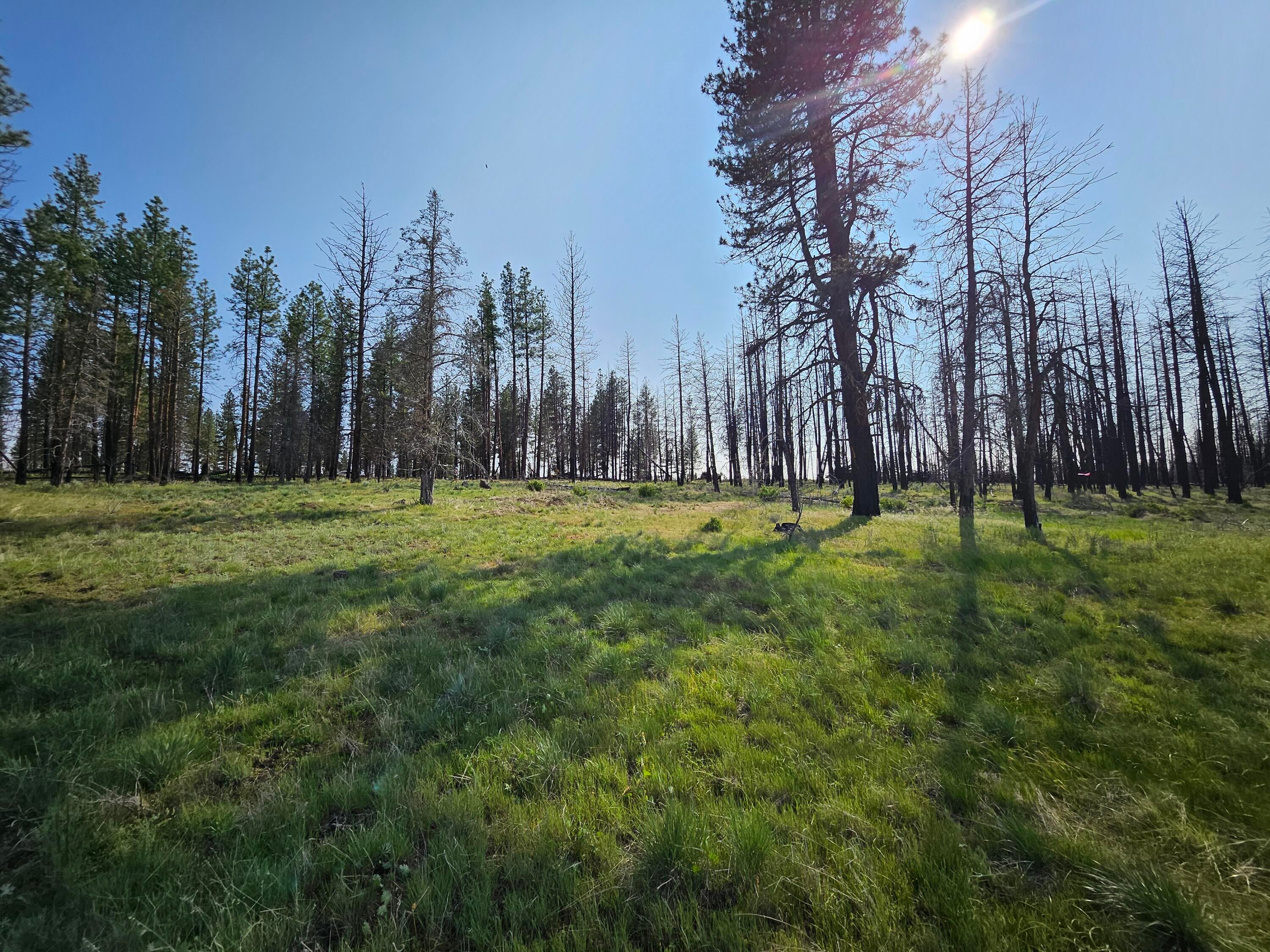 8 Parazoo Trail Bly, OR 97622 - Photo 9 of 27 views from lower part of the lot