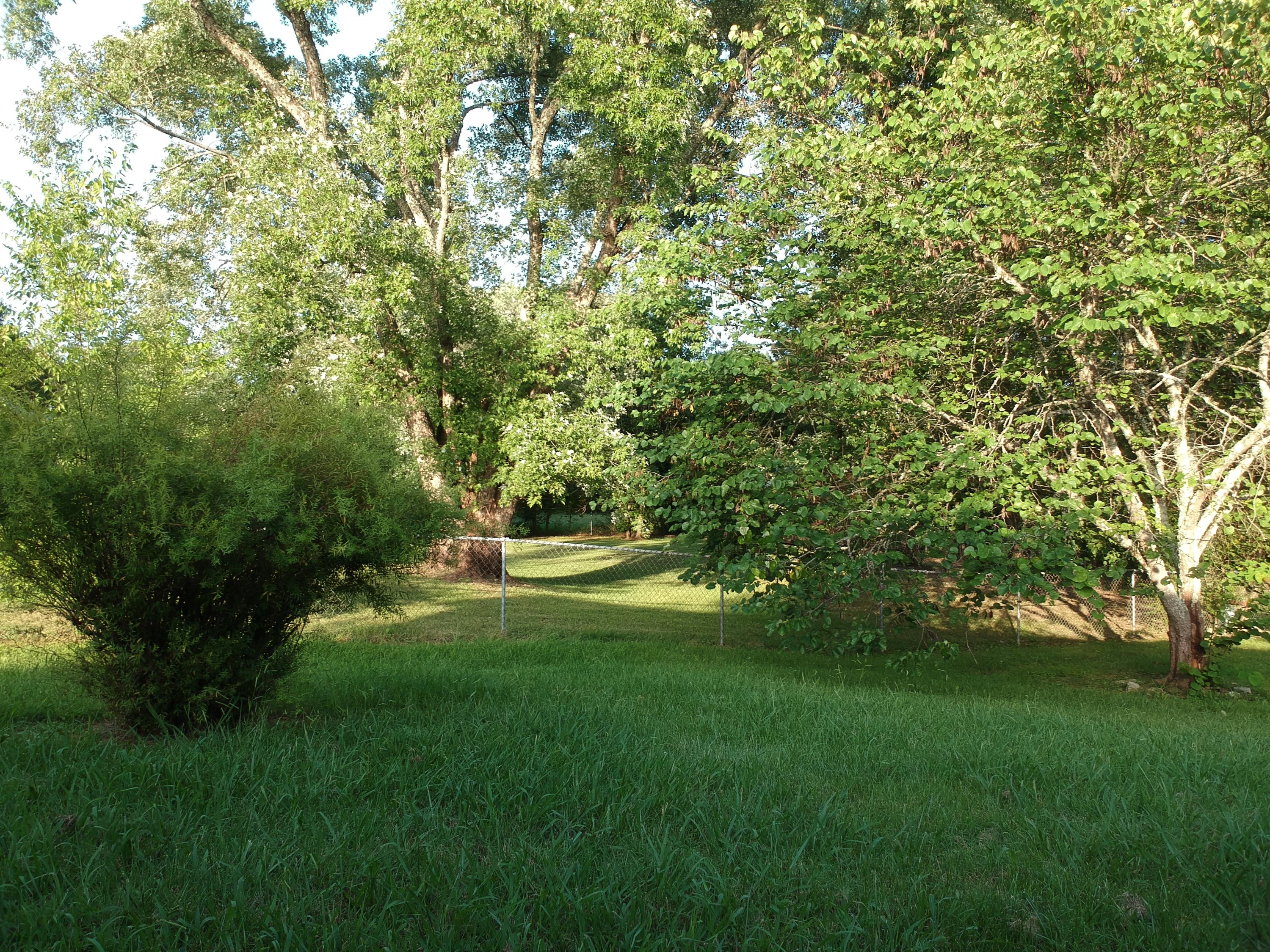 1834 Norlil Road Sevierville, TN 37876 - Photo 11 of 23 11Rear