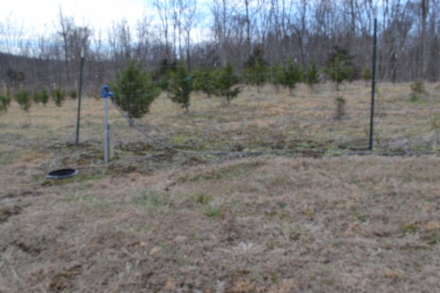 129 Rushing Springs Road Monterey, TN 38574 - Photo 41 of 49 Gallery Image 41