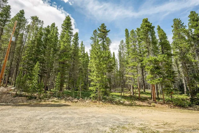 $65,000 | 114 Elk Court, Idaho Springs, CO 80452