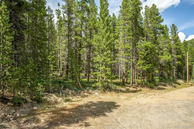 $65,000 | 114 Elk Court, Idaho Springs, CO 80452