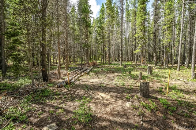 $65,000 | 114 Elk Court, Idaho Springs, CO 80452