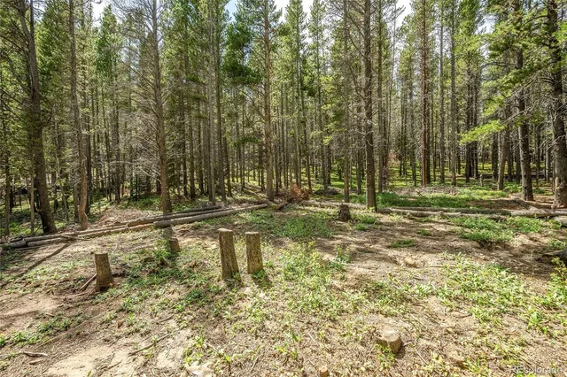 $65,000 | 114 Elk Court, Idaho Springs, CO 80452