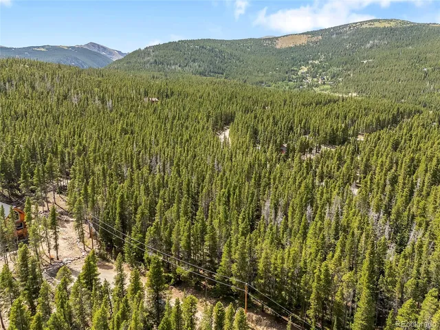 $65,000 | 114 Elk Court, Idaho Springs, CO 80452